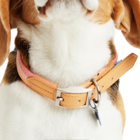 YOULY the avant-garde Horiztonal Stripe Dog Collar, Pink Small - Picture 8 of 8